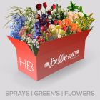 HB: Sprays+Greens+Flowers