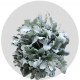Greenery Dusty Miller