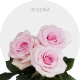 Light Pink Jessika Roses 40-70 cm