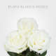 White Box Playa Blanca 60 cm (100 St)