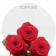 Box Red Fortune Roses 40 cm (125 St)