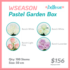 WSeason Pastel Garden Box 50 cm (100 St)