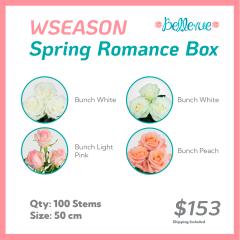 WSeason Spring Romance Box 50 cm (100 St)