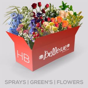 HB: Sprays+Greens+Flowers